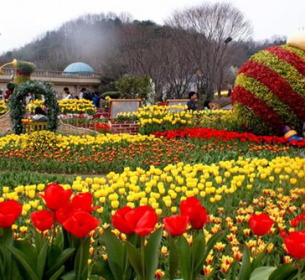 Фестивала на лалетата в Истанбул